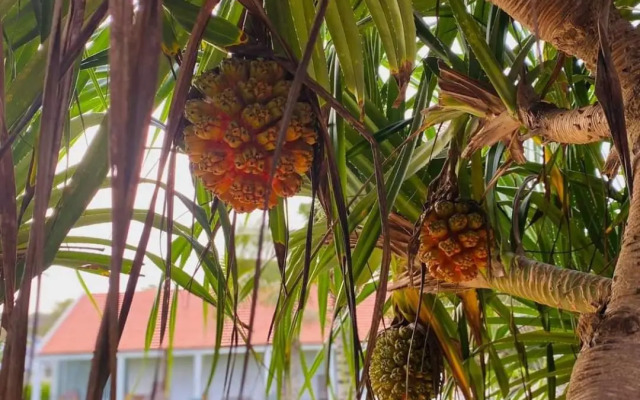 Phan Thiet BeachHouse