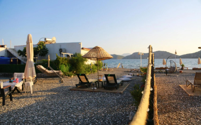 Tiny House Echino söğüt