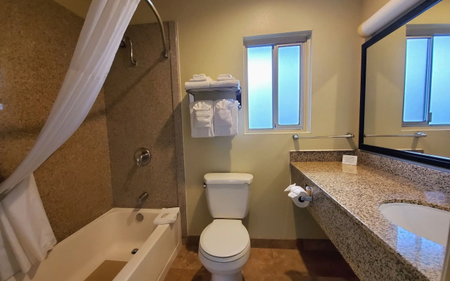 Quality Inn & Suites Anaheim At The Park