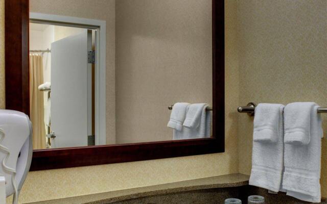 Springhill Suites By Marriott Memphis Downtown