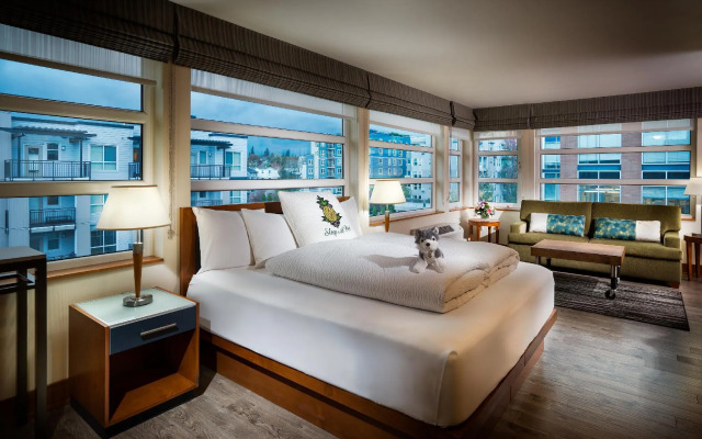 Staypineapple, Watertown Hotel, University District Seattle