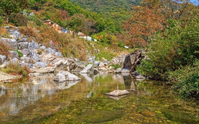 Sosul Pension
