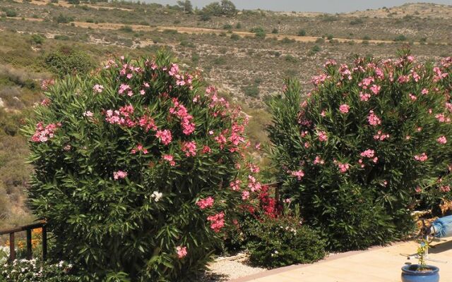 Villa Jasminum Bed & Breakfast