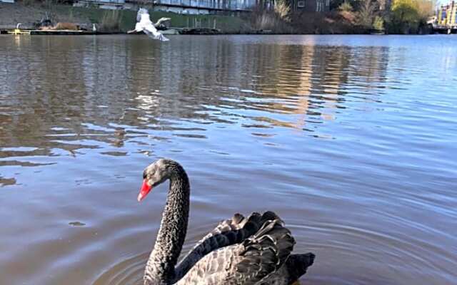 Luxury studio on Robs houseboat
