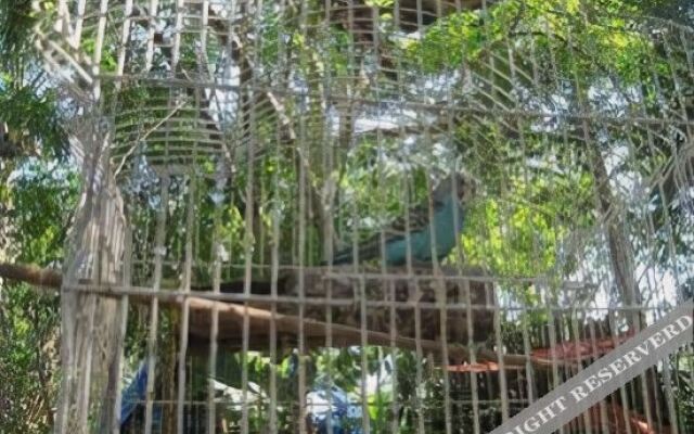Yucatan Mayan Retreat Ecohotel and Camping