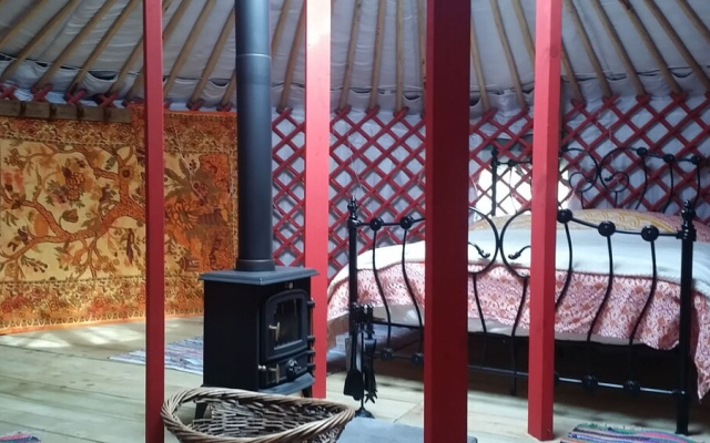 Wych Elm Glamping