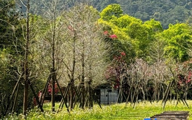 Brookburg
