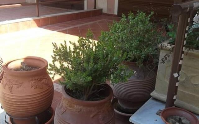 Sithonia Alekos Luxury Experience