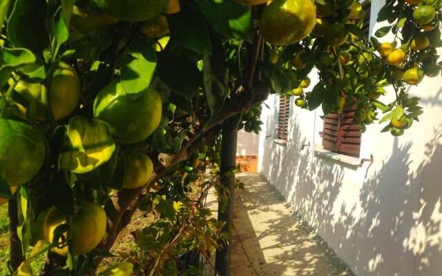 Schöne Ferienwohnung mit Terrasse, Roses