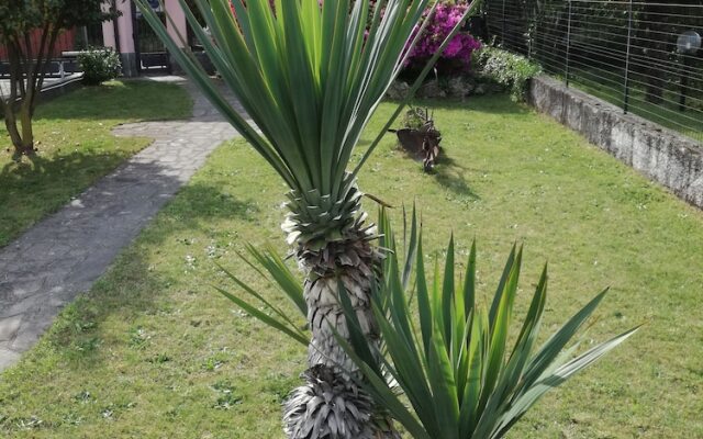 Villa Rosy B&B