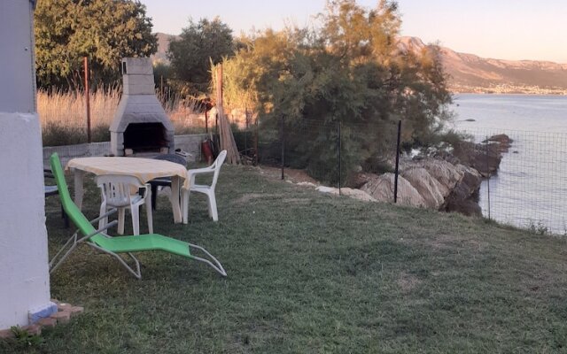 Cozy Small House on the Beach for pet Lovers