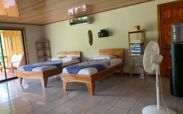 Room-villa With Primary Forest View