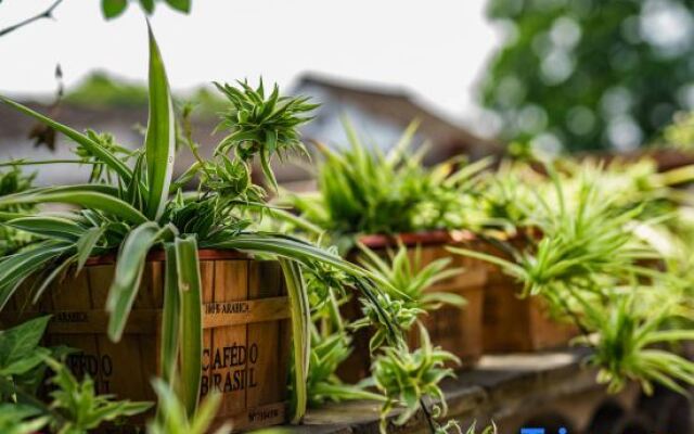 Shanghai Caoxi Bieyuan Homestay(Zhujiajiao Ancient Town Shop)