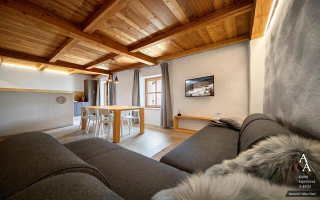 Alp Apartments - Tourneuve5