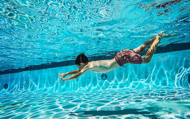 Treeloft Adventure in Nature for 4 People 5