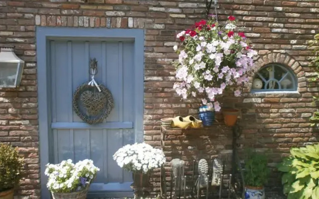B&B 't Aelsterbosch
