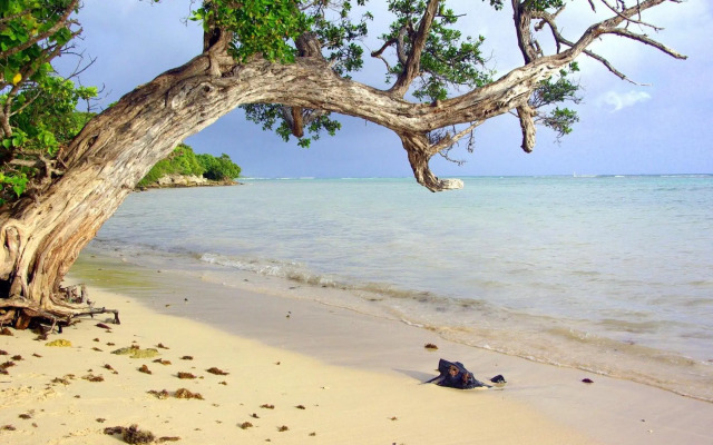 Anais location le soleil couchant