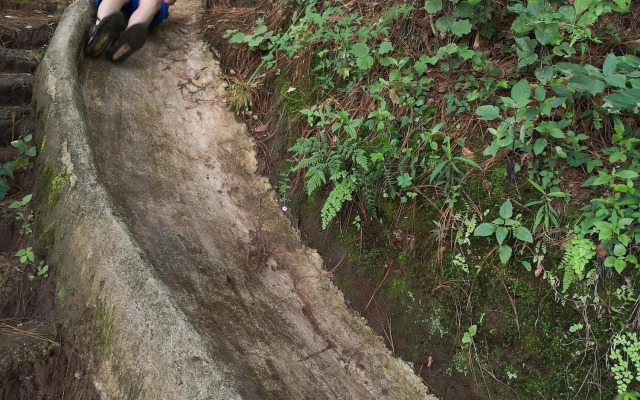 Cabañas Campamento Tlatempa - Hostel