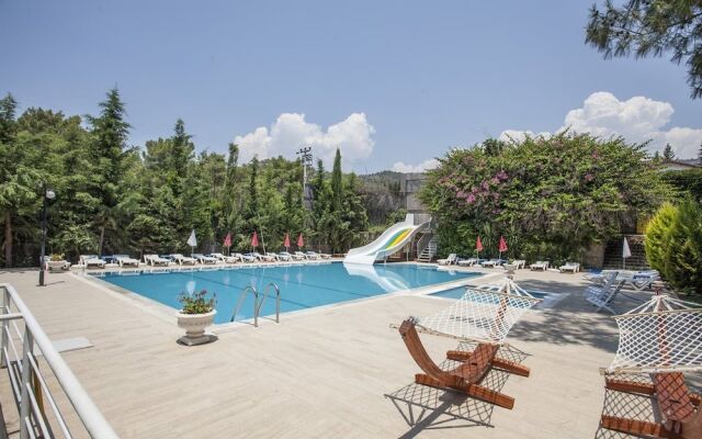 Silver Pine Hotel