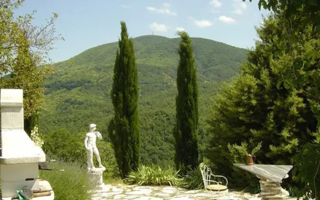 Sallicione