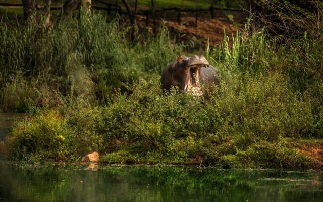 Sabi River Sun Resort