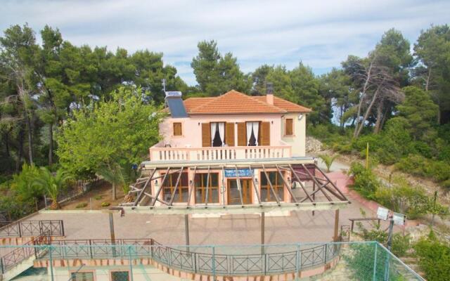 The Pine Tree House