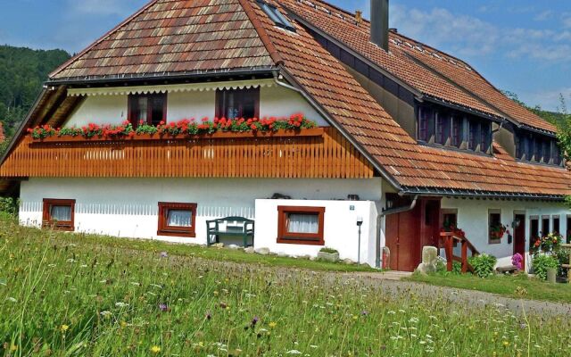 Serene Apartment In Rickenbach Near Ski Lift