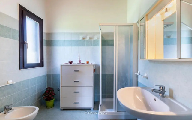 Sr-f943-busu0at - Le Camelie