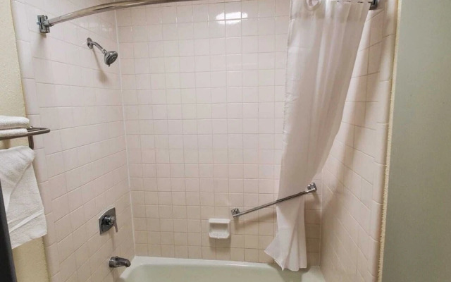 Palmetto Inn & Suites
