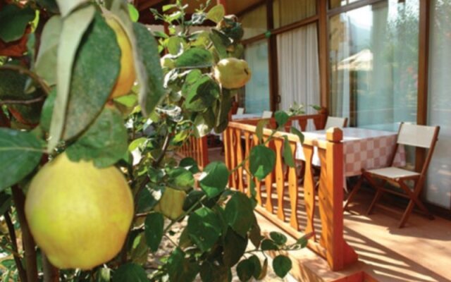 Palmetto Resort Hotel