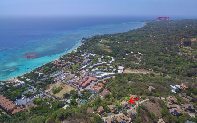 La Casa Buena Vida T 21