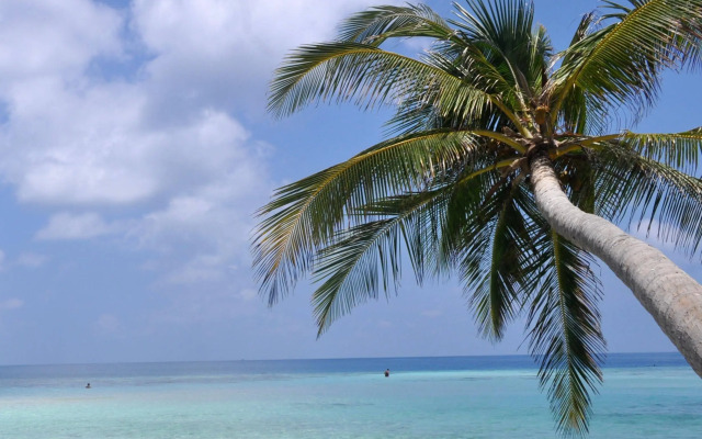Water Breeze
