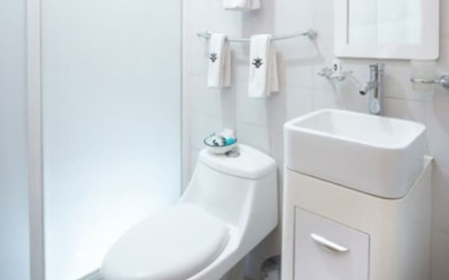 Hotel Parque Mexico (Petit Hotel)