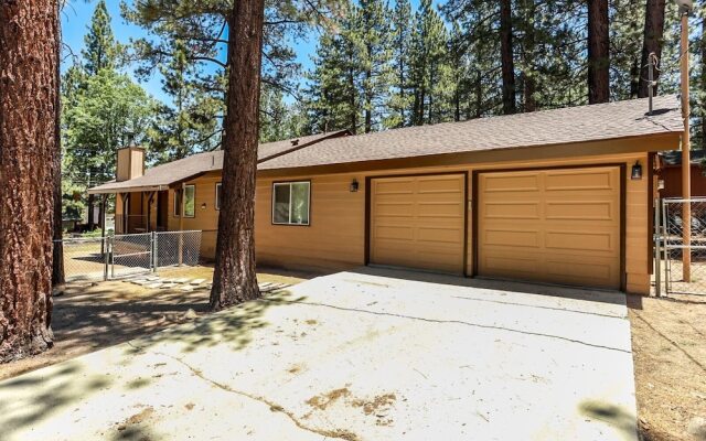 Bohemia BIG Bear #1926