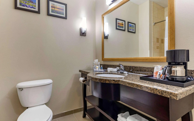 Comfort Inn & Suites Near Lake Lewisville