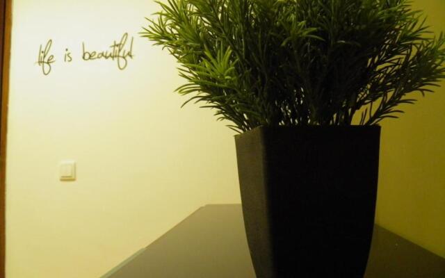 Atlantic Nest Coimbra