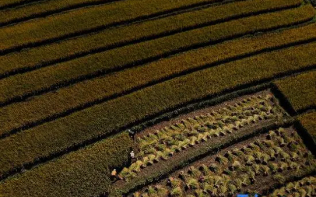 Shaxi Village Side · HVILLA Farm Holiday Inn (Dali Jianchuan Shaxi Ancient Town Store)