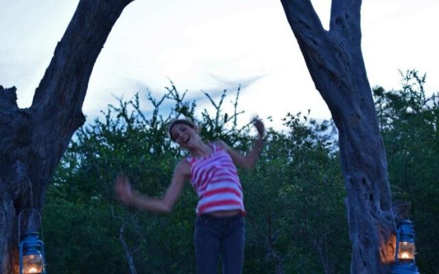 Wild Olive Tree Camp