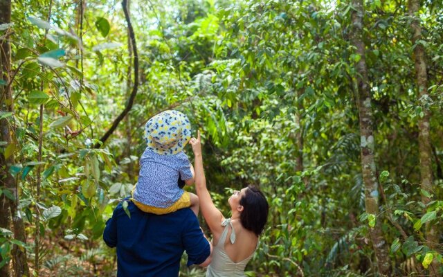 The Canopy Rainforest Treehouses and Wildlife Sanctuary