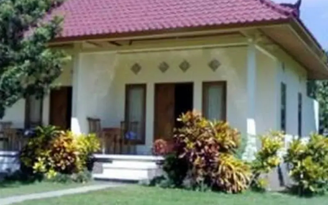 Gunung Mas Pemuteran