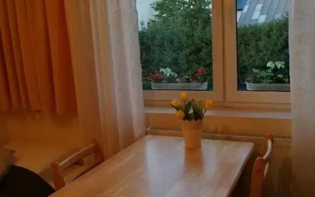 Noclegi u Mai