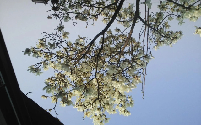 Gegege no Guesthouse - Vacation STAY 9461