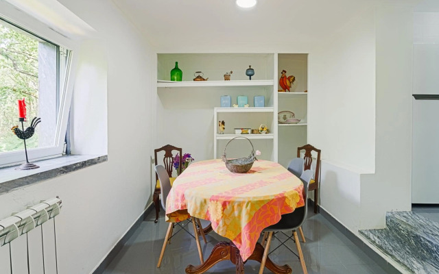 Quinta biológica, com vista, na Serra de Sintra