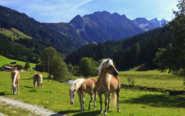 Traumhotel Alpina - Yoga & Ayurveda Adults only