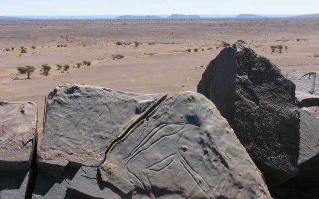 Le relais des sables