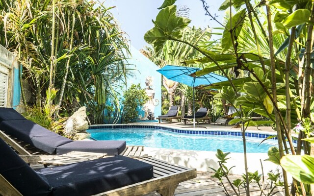 Pietermaai Tropical Vibes