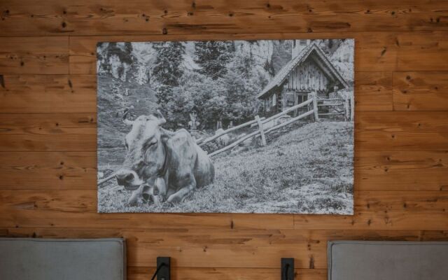 Alpin Resort Montafon 42981