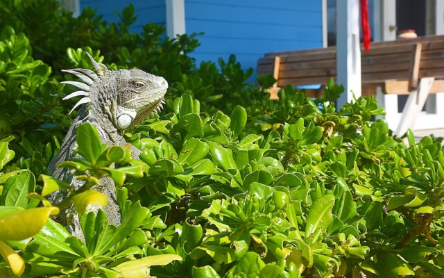 Sorobon Boutique Hotel  Bonaire