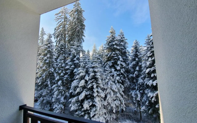 Pinewood ANG luxurious apartment A43, Borovets Gardens