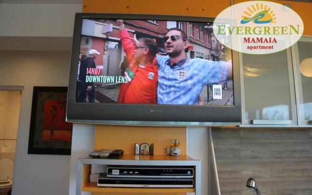 Evergreen Vlas Mamaia